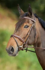 Вуздечка з комбінованим капсюлем Comfort з гумовим повіддям від HFI