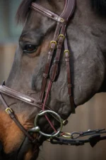 Ремінці нащічні до плаваючого трензеля від Dyon - Зображення 2