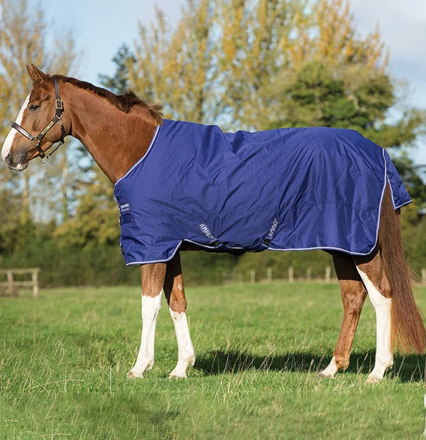 3069600a2a7111eb009952cf004901ce_347076662a7111eb009952cf004901ce Попона прогулянкова Amigo Hero 900 Turnout Light 0 г від Horseware - Зображення 1