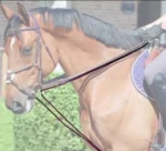 Шпрунт Leather/Nylon 5/8 від Dyon - Зображення 2