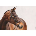 Вуздечка з комбінованим капсюлем Tokyo Select від Schockemohle - Зображення 4