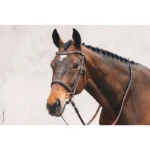 Вуздечка з комбінованим капсюлем Tokyo Select від Schockemohle - Зображення 6