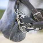 Пелям з вісімкою Dynamic RS від Sprenger - Зображення 2