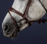 Ремінь підгубний (вісімка) Flash 1/2” від Dyon - Зображення 2