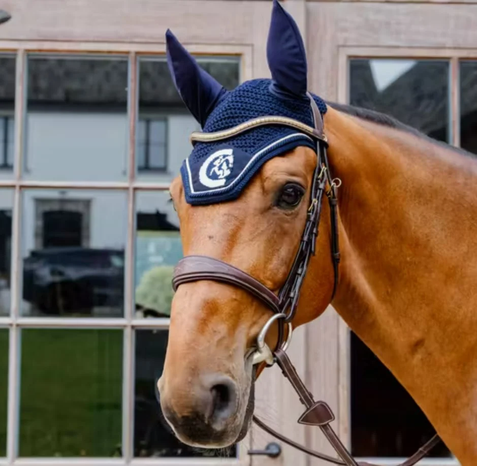 aba20a6cde3311ef9fa2000c290f8e77_5582e133de3411ef9fa2000c290f8e77 Вушка Wellington 3D Logo Rope від Kentucky - Зображення 1