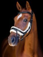 Вуздечка спеціальна Equitus Zeta від Schockemohle - Зображення 2