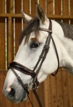 Вуздечка з комбінованим капсюлем Patent Large Crank Noseband With Flash від Dyon - Зображення 3