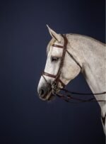 Ремінці нащічні подвійні від Dyon - Зображення 3