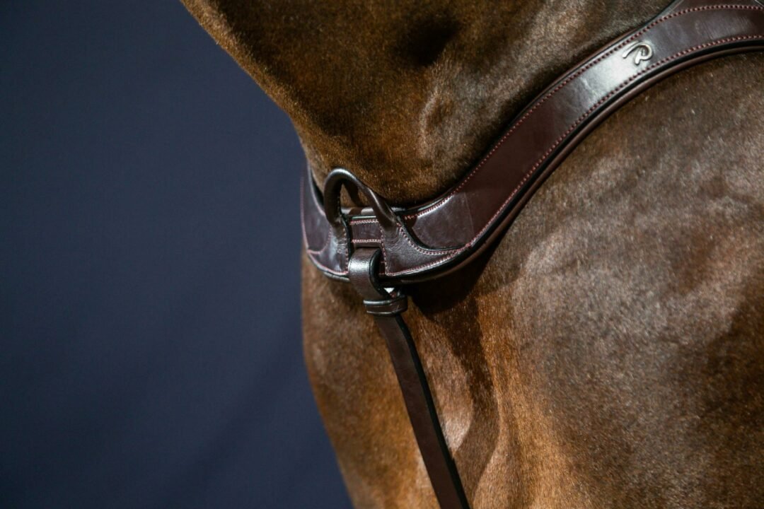 cf47aec25ce111ec6b8952cf00ebc482_1724d656a4a411ed8a5352cf00ebc482 Підперстя Anatomical від Dyon - Зображення 1