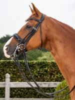 Оголів'я Patent Large Crank Noseband від Dyon - Зображення 2