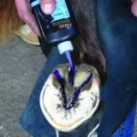 Засіб по догляду за стрілкою та копитом Blue frog dressing від Diamond, 118 мл